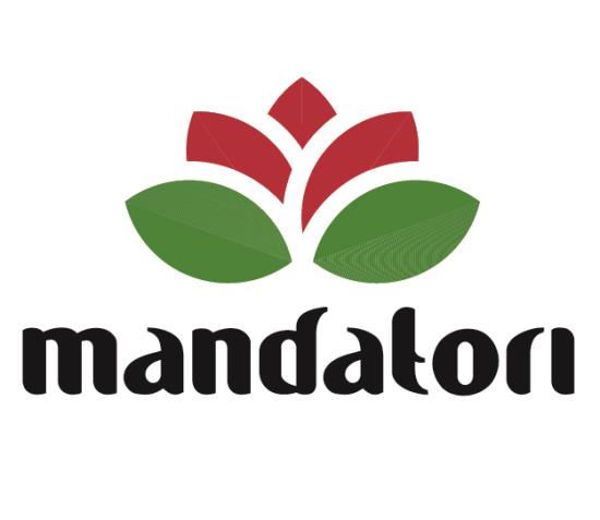 Mandadori